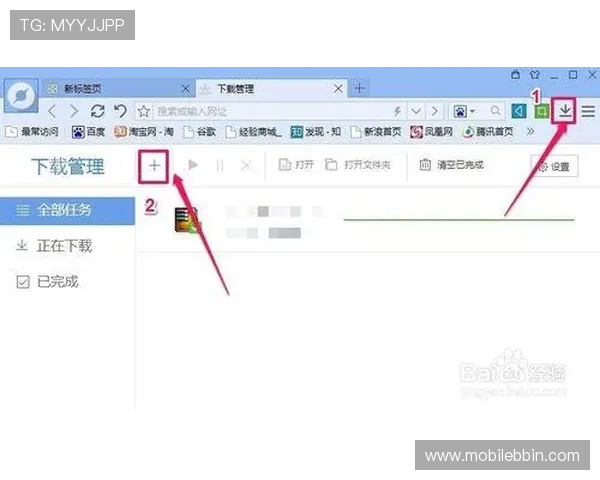 BBIN电脑版官网下载安装步骤详解及常见问题解决方案