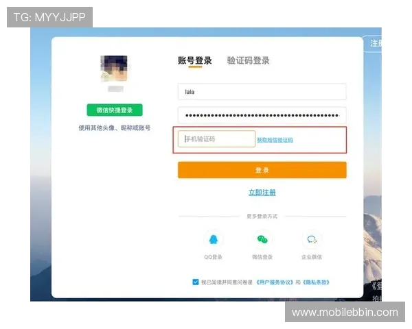 宝盈官网登录入口常见错误及解决方案，确保顺利登录账户