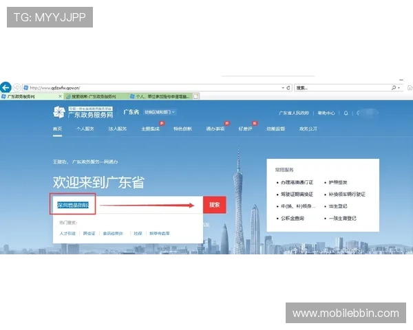 宝盈登录注册指南全面解析让新用户轻松掌握账户操作技巧