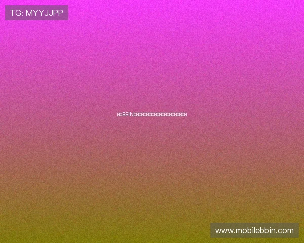 掌握BBIN手机版会员登录步骤，确保账号安全与顺畅体验