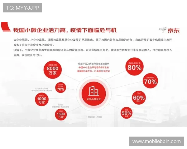 bbin国际视讯品牌建设与市场推广策略全面解析助力平台成长
