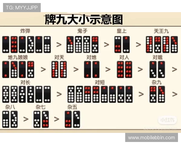 骨牌牌九游戏技巧攻略提升玩家胜率的实用策略与实战经验分享
